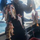 임회면 십일시장 이미지