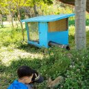 첨단2주거1호근린공원 이미지