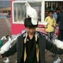 굽스 이미지