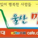 토성오리 이미지