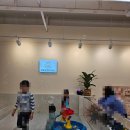 MJ 키즈 수영장 (명동점) | 청주 아이조아풀 :: 아이랑 가기좋은 키즈룸, 실내수영장, 청주실내키즈카페, 대전키즈풀