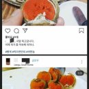 대게드림 이미지