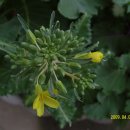 양지어린이집 이미지