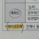 용어관련 질문 드립니다 (석회수화물, 석회화수물, 에이코르셰, 따블로,수용성 천연수지) 이미지