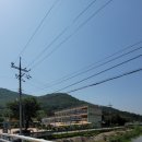 천태농장 이미지