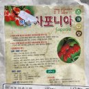쥬블리 이미지