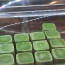 쪼꼬뜨레제주