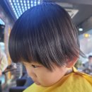 마샬헤어모드 이미지