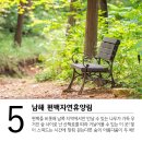 미세먼지 피해 떠나자! 숲길 산책 6 이미지