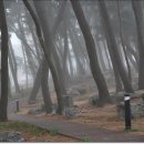 대부도관광안내소 이미지