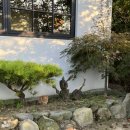 그해, 경주 이미지