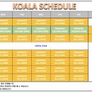 크로스핏 코알라 이미지