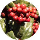 상방리 마을회관 이미지