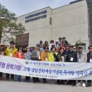 노암로 Daum카페