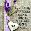 ⚘앵무새 몸으로 울었다 이미지