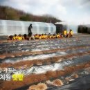 아름솔유치원 이미지