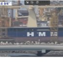 HMM '나무호' 피격 사실 확인되자...온라인 공간의 좌파 반응은? 이미지
