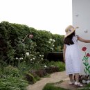 하도조아 이미지