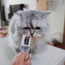 플러스씨스 이미지