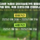 8월의 강아지 이미지