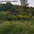 관정목장2 이미지