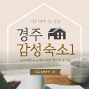 [경주 여행 숙소 추천 1] 감성 끝판왕 &#39;호텔프프&#39; 솔직 후기