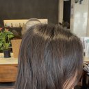 레이지연화 이미지