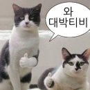 규니규니