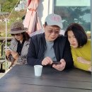 아산 은행나무길&공세리성당 이미지