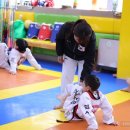 학사태권도 네이버블로그