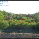 양북초 송전분교 | [경주시 양북면 토지(답)경매,급매,전세] 경상북도 경주시 양북면 송전리 682. 2018타경1342