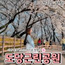 도당 공영 주차장 | [공지] 부천 벚꽃 명소 도당근린공원 | 도당산 벚꽃축제 준비중인 벚꽃길