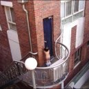 배꽃어린이집 이미지