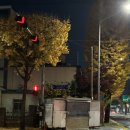 교학사 | 독산역 붕어빵 맛집 장군잉어빵 내돈내먹 후기