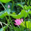 조수의과병원 이미지