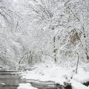 봄부동산 이미지