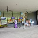 리틀베이 | 싱가포르 가든스바이더베이 플로럴판타지 리틀포니 테마 방문 후기