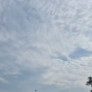 창원시설공단 교통편의팀 | [김해상록CC] 부산,김해,창원,장유,율하 근교 김해상록CC 방문 후기 내돈내산