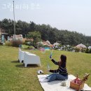 [국도77] 태안군 달산리 이미지