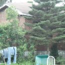 신산리-2 이미지