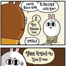 사치 이미지