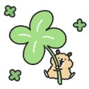 스텔라헤어 이미지