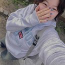 대영빌딩 | [나 혼자 영국 런던_2] 해리포터 스튜디오/근위병교대식 꿀팁/대영박물관 예약/기념품 후드티