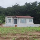 태안도배방