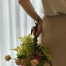 소소록 이미지