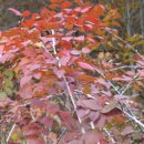 종복농장 이미지