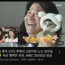우일한의원 | 2025 주간일기 5월 1주차