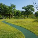 강청수변공원축구장 이미지