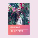 [공지] 2025년 5월 여행 인플루언서 선정 후기 및 새로워진 선정 흐름 분석과 합격 꿀팁 소개