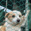 벨리세펜션 | 태안펜션 : 단체펜션으로 좋은 태안 벨리세펜션 후기 ლ